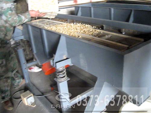 菊花直線振動(dòng)篩除雜過(guò)程中